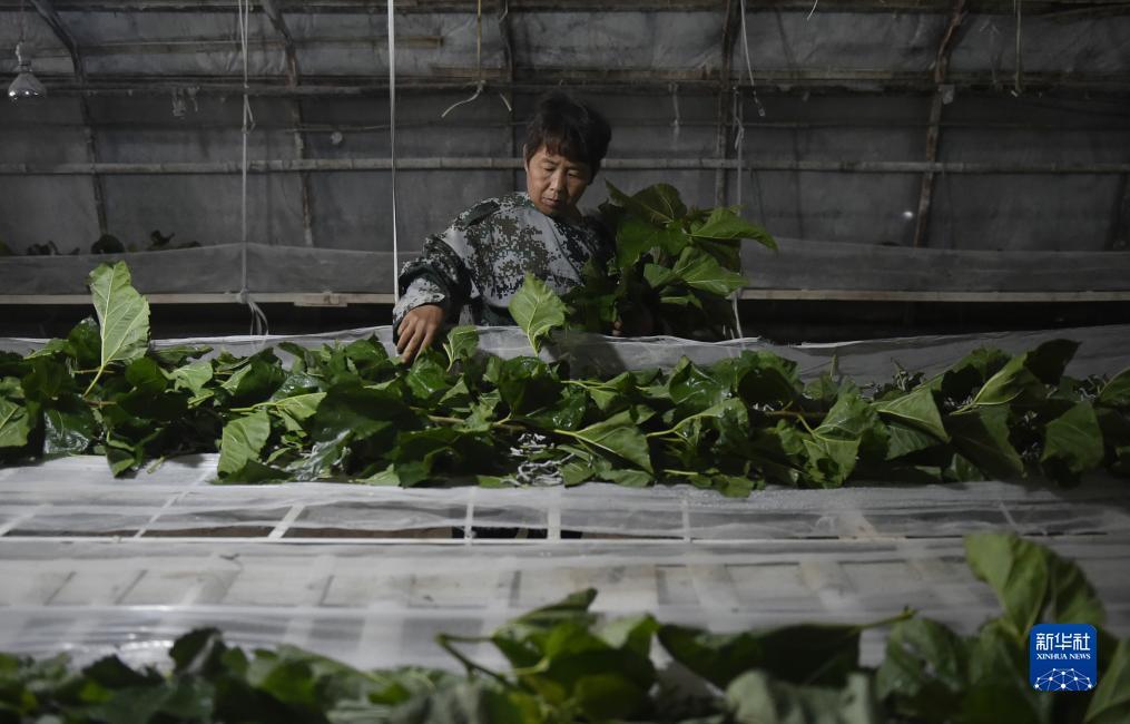 腾龙娱乐登录网站